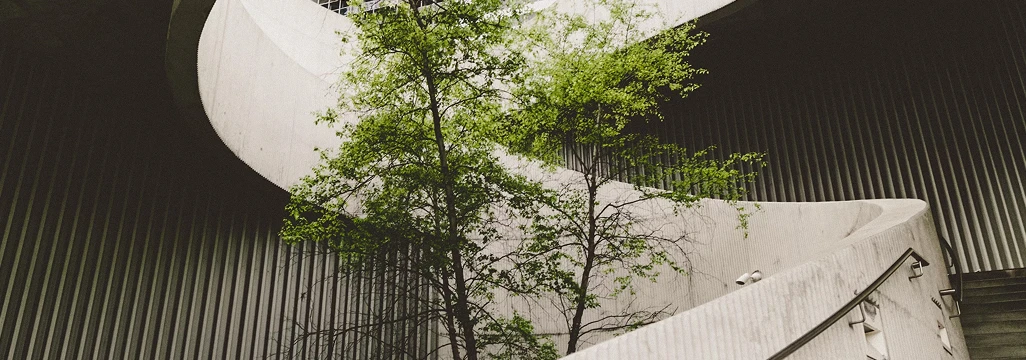 Excelencia en pureza y calidad